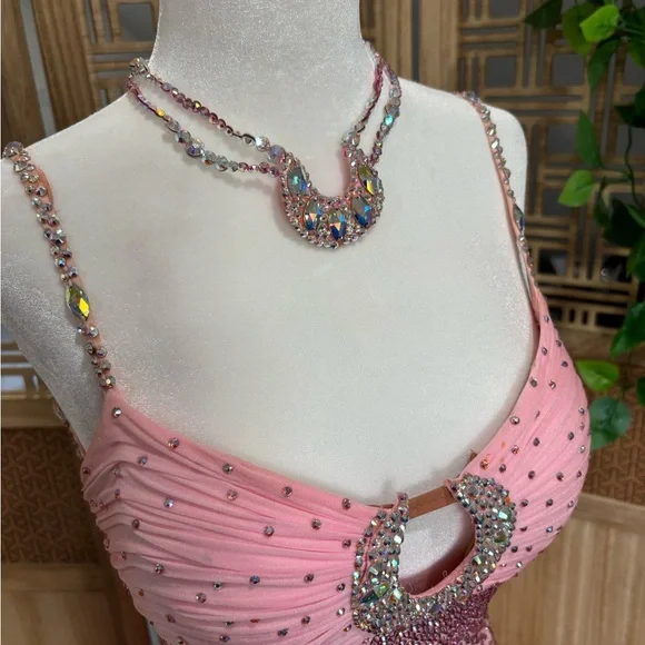 Chrisanne Couture Pink Ballroom Gown with Removable Standard Floats - Picture 3 of 9